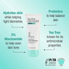Daily moisturiser product benefits infographic. Hydrates skin, prebiotics help balance skin, 3% niacinamide to help even tone, tea tree for antimicrobial properties.